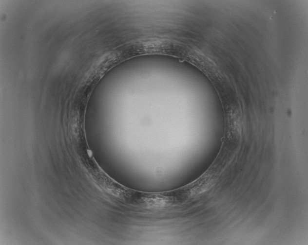 X0000069380698200605121146