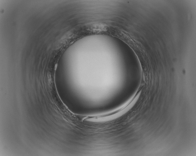 X0000069380704200605121146