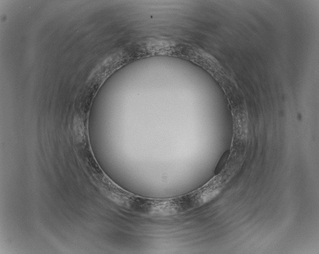 X0000069380705200605121146