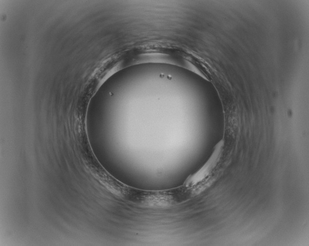 X0000069380708200605121146