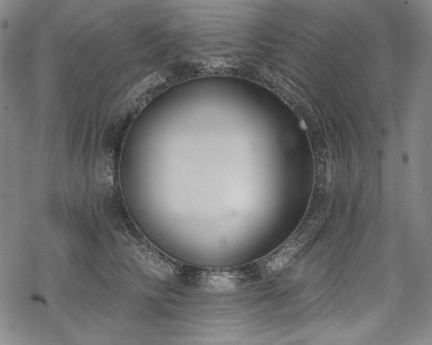 X0000069380710200605121146