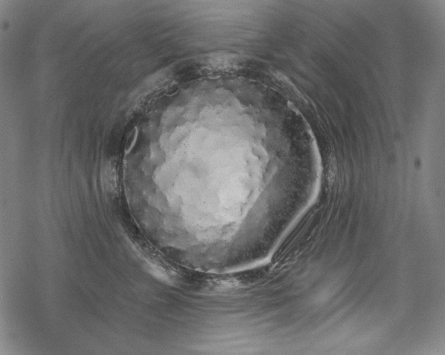 X0000069380715200605121146