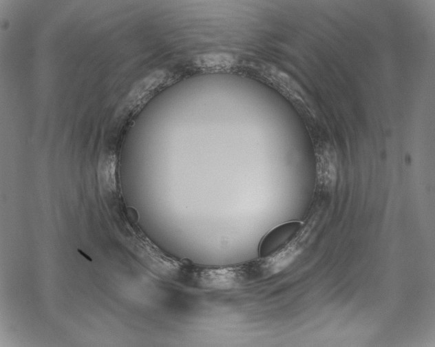 X0000069380717200605121146