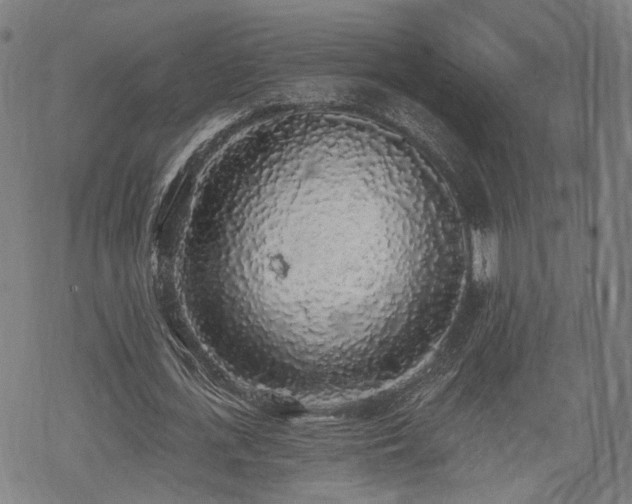 X0000069380723200605121145