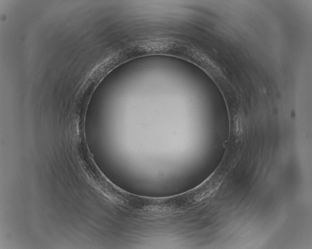 X0000069380733200605121145