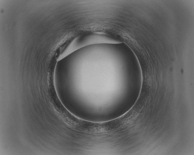 X0000069380735200605121145