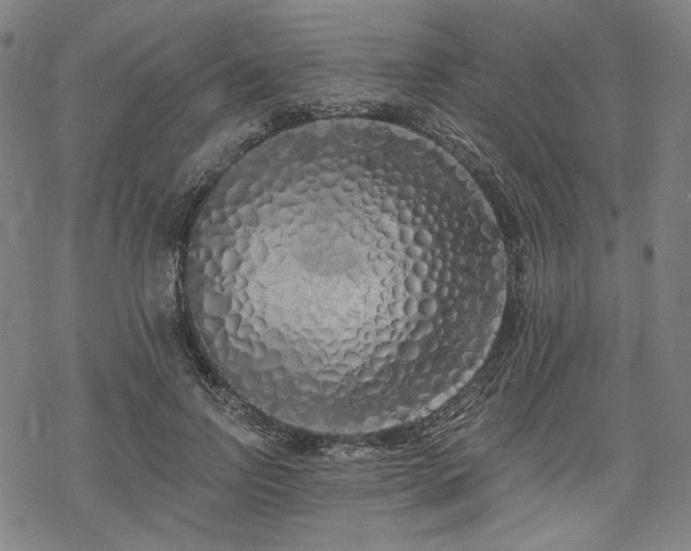 X0000069380742200605121145
