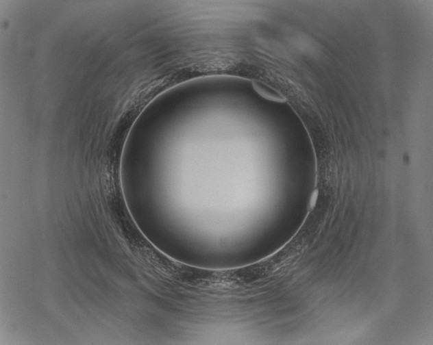 X0000069380743200605121145