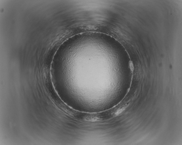 X0000069380747200605121145