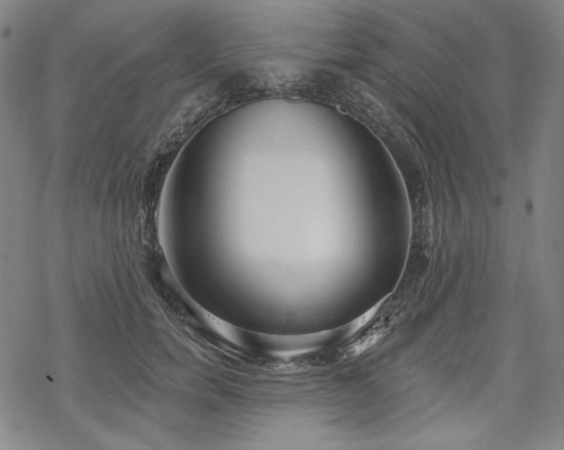 X0000069380750200605121145