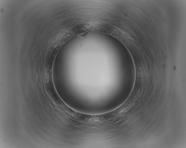 X0000069380751200605121145