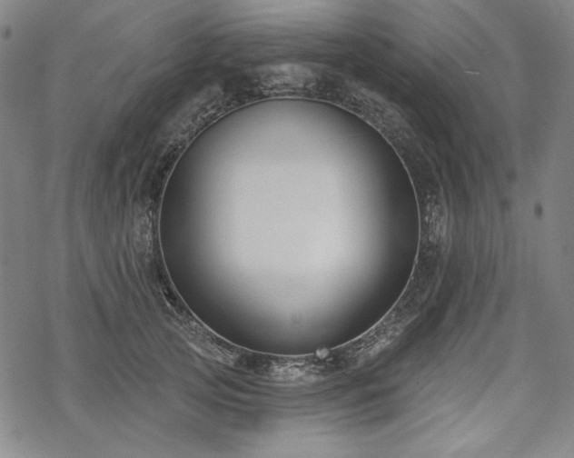 X0000069380753200605121145