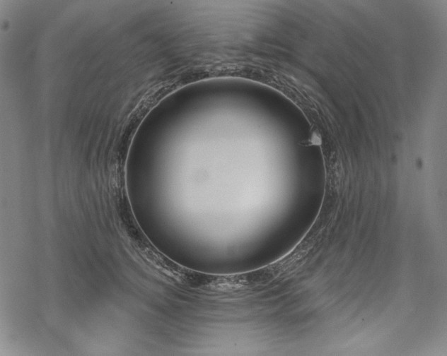 X0000069380756200605121145