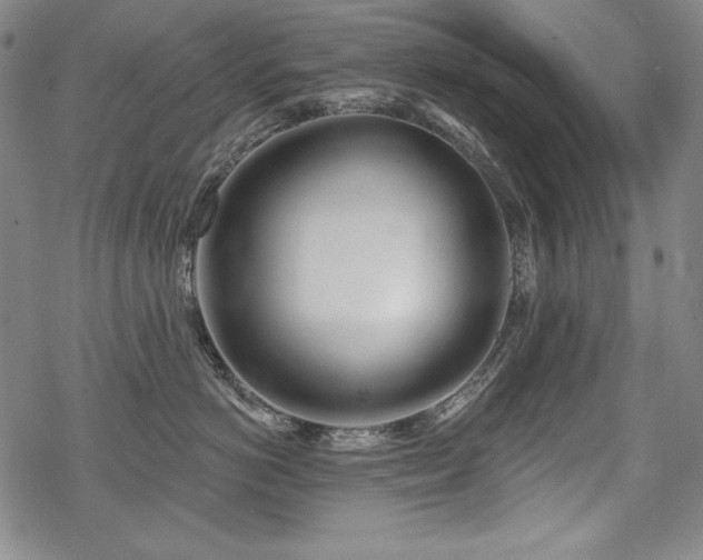 X0000069380766200605121145