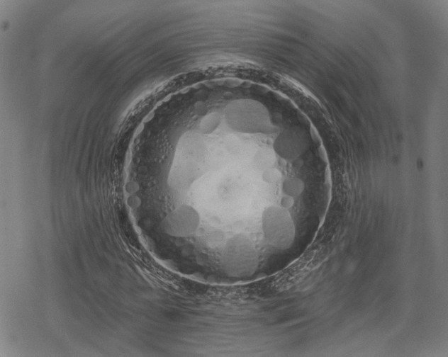 X0000069380775200605121145