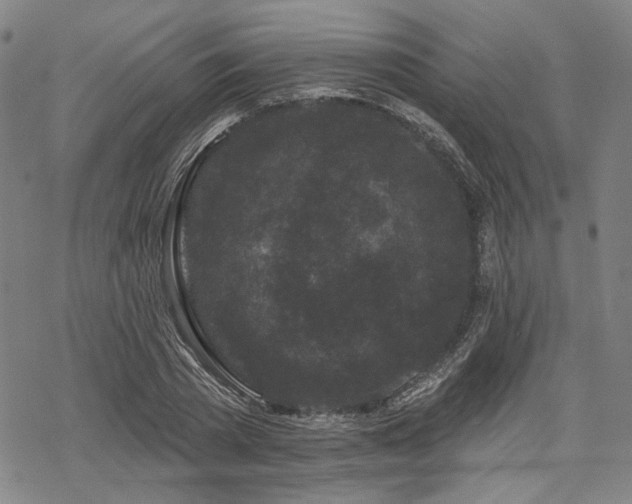 X0000069380785200605121144