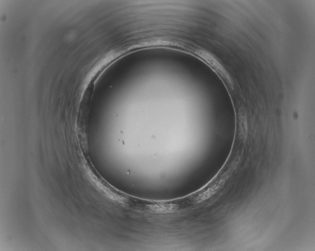 X0000069380805200605121144