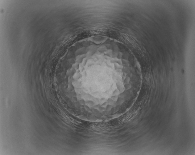 X0000069380817200605121143