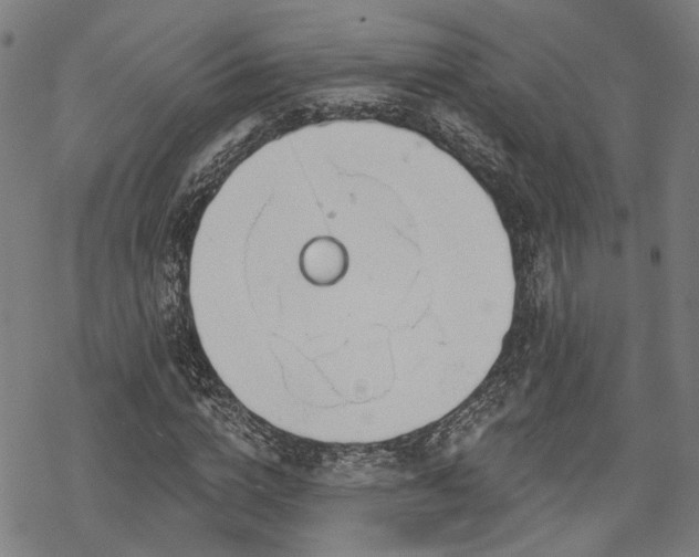 X0000069380824200605121143