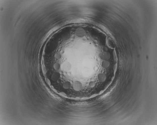 X0000069380845200605121144
