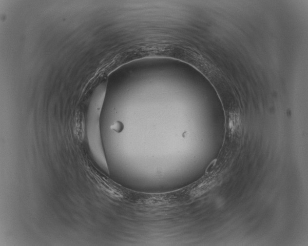 X0000069380867200605121143