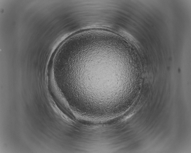 X0000069380892200605121143