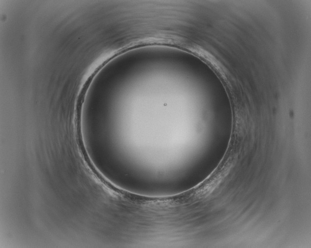 X0000069380902200605121143