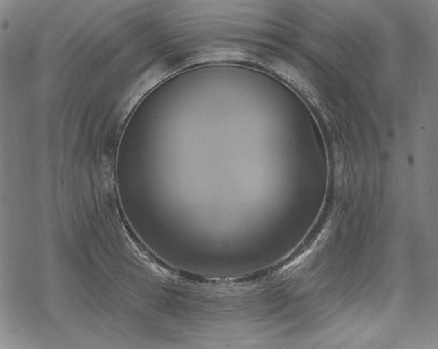 X0000069380945200605121142