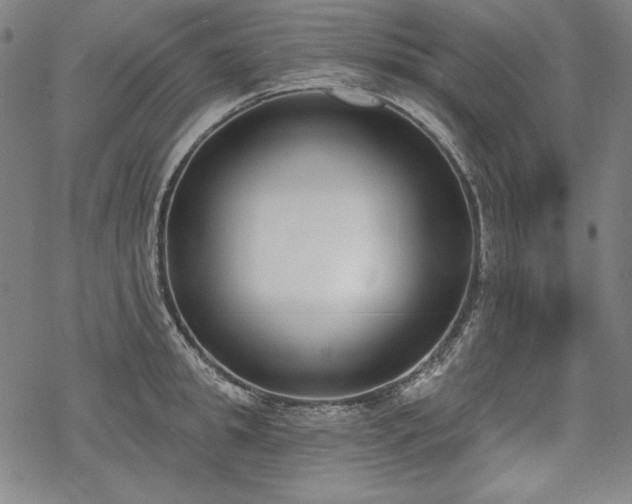 X0000069380949200605121142