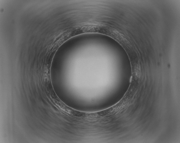 X0000069380964200605121142