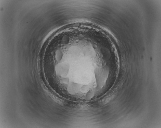 X0000069380983200605121141