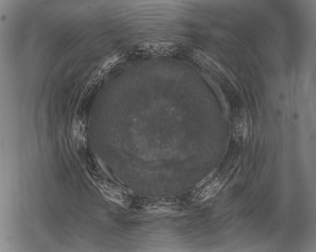 X0000069381010200605121140