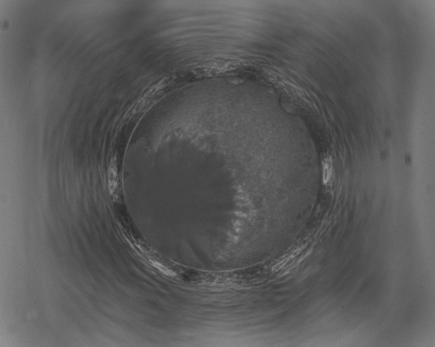 X0000069381011200605121140