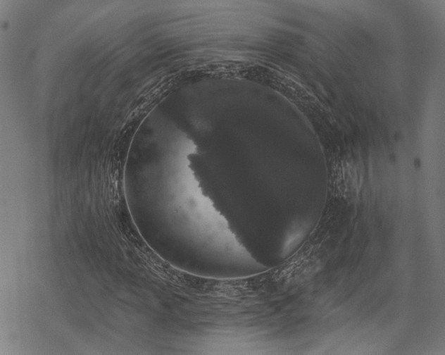 X0000069381013200605121140