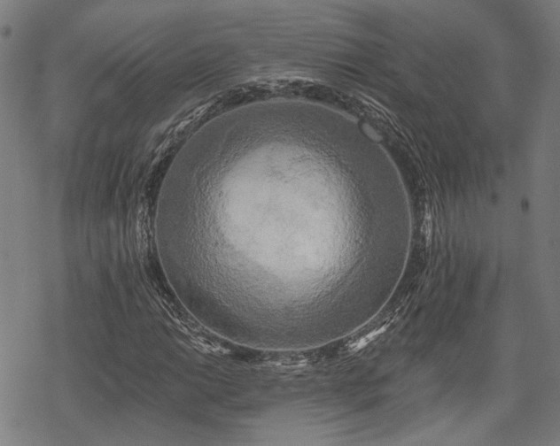 X0000069381014200605121140