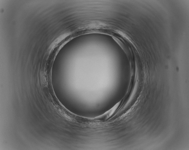 X0000069381018200605121140