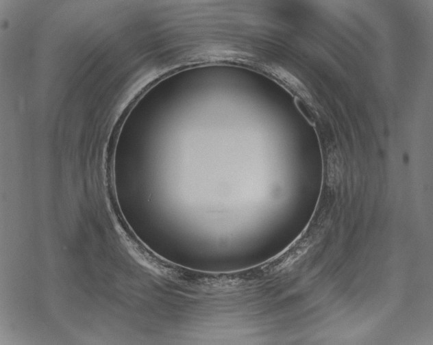 X0000069381039200605121140