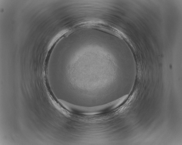 X0000069381042200605121141