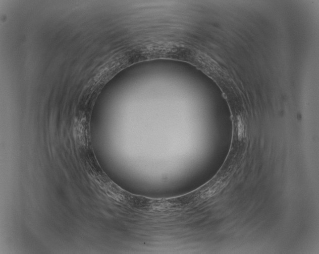 X0000069381059200605121140