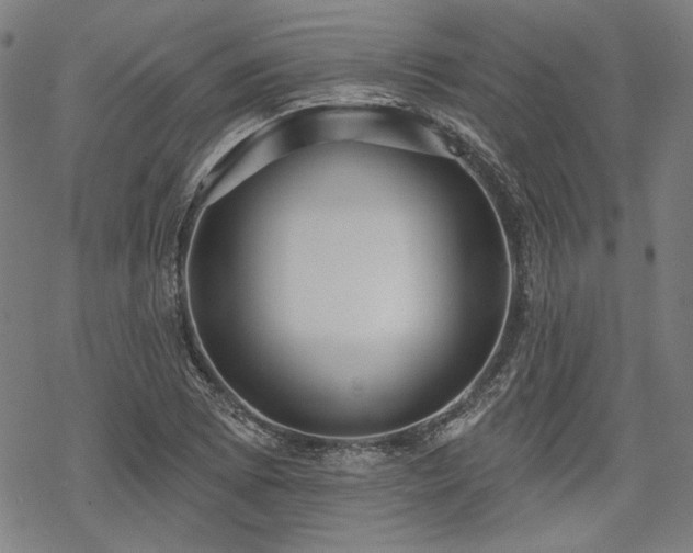 X0000069381073200605121140