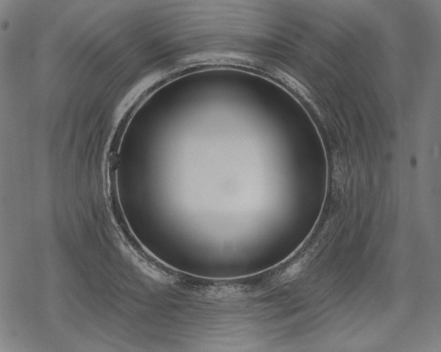 X0000069381082200605121140