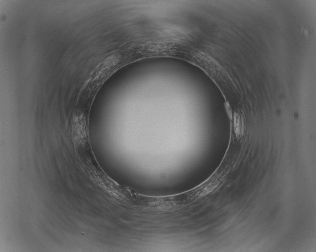 X0000069381107200605121138