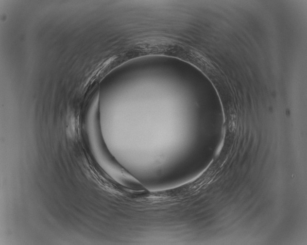 X0000069381108200605121138
