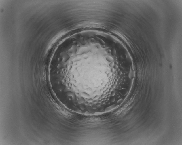 X0000069381115200605121139