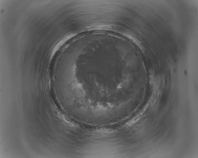 X0000069381117200605121139