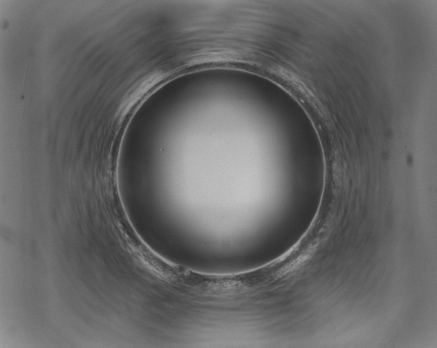 X0000069381129200605121139