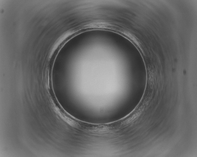 X0000069381131200605121139