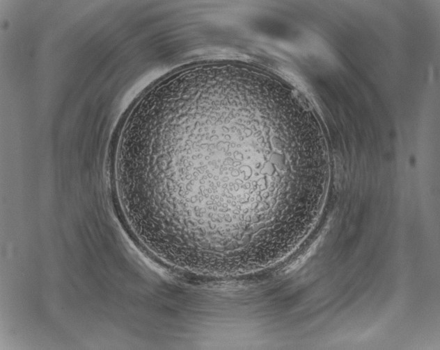 X0000069381141200605121139