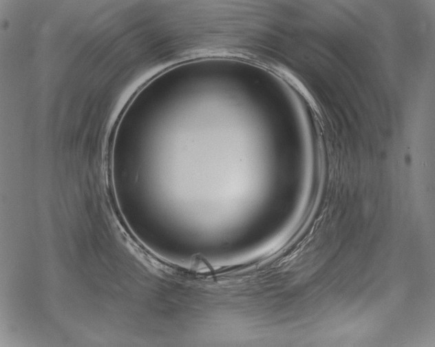 X0000069381148200605121139