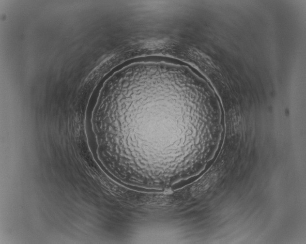 X0000069381158200605121138
